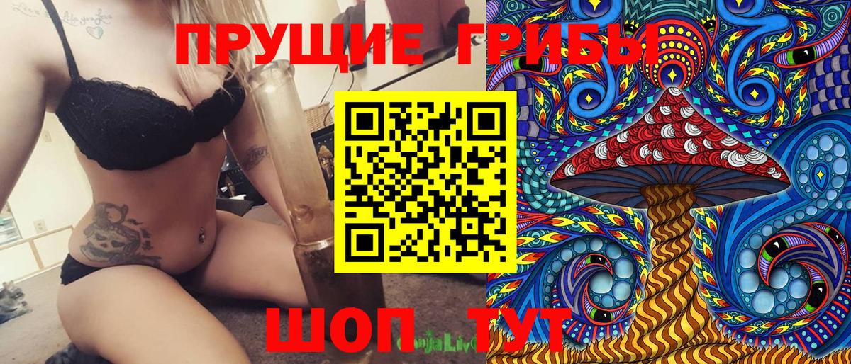 Псилоцибиновые грибы Psilocybe Альметьевск